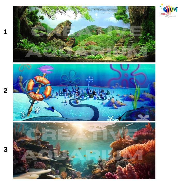 Premium 1 Set Lengkap Aquarium Kaca Akrilik Ukuran Besar 35X15X15 Lengkap Dengan Mesin Oxygn Dan