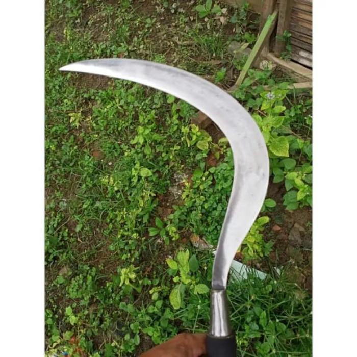 ARIT RUMPUT PANEN PADI SUPER TAJAM SABIT BAJA PER MADURA ASLI PISAU