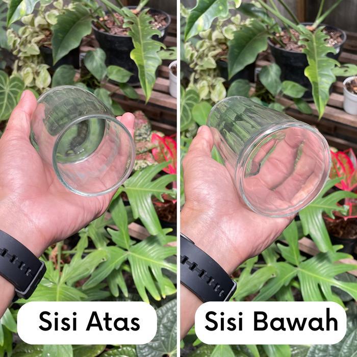 Vas Kaca Carre - Vas Bunga Aesthetic Pot Bunga Tanaman Hias Hidroponik