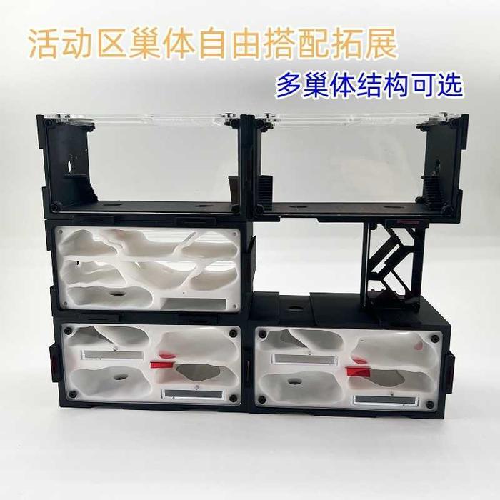 Diki_Diku Formicarium Perluas Double Side View, Formicarium Akrilik, Ants Nest, Ant, Gypsum Nest,