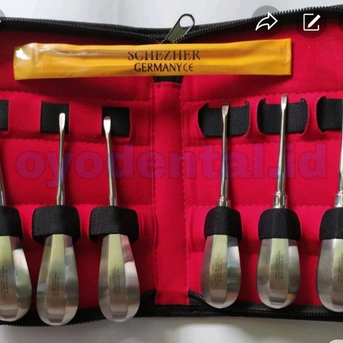 Dental root elevator luxator / instrument Bein elevator schezher set
