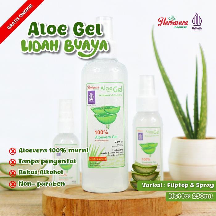Aloevera Gel Lidah Buaya Murni Organik 250 ml Herbavera