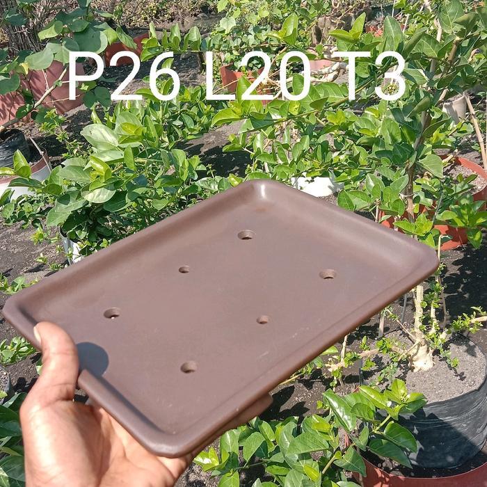 pot kramik bonsai penjing 26 cm