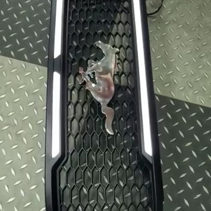Grill Ford Everest 2016-2019