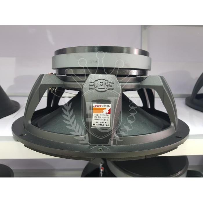 12" Pa 75125 M Fabulous Series By Acr Populer