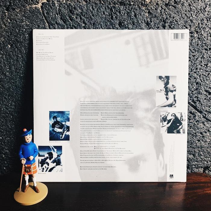 Piringan Hitam / Vinyl Sting - The Dream Of The Blue Turtles