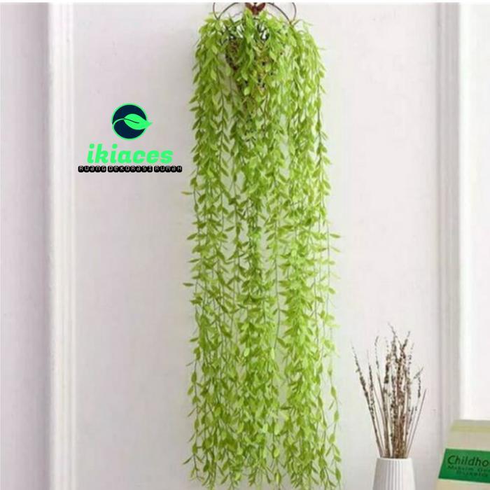 "New" DAUN RAMBAT KECIL LEE KWAN YEW DAUN PLASTIK DAUN ARTIFICIAL DEKORASI