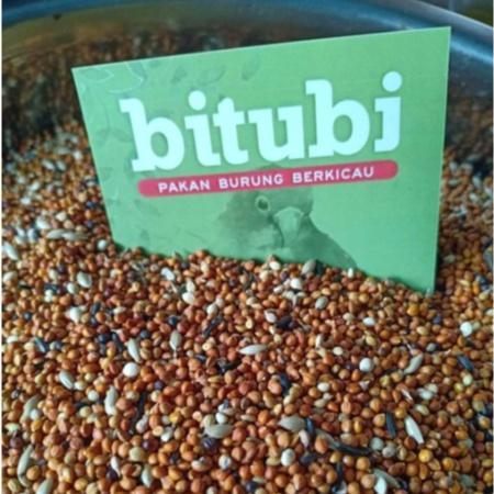 PAKAN BURUNG TERNAK UNTUK BLACKTHROAT SANGER MOZAMBIK