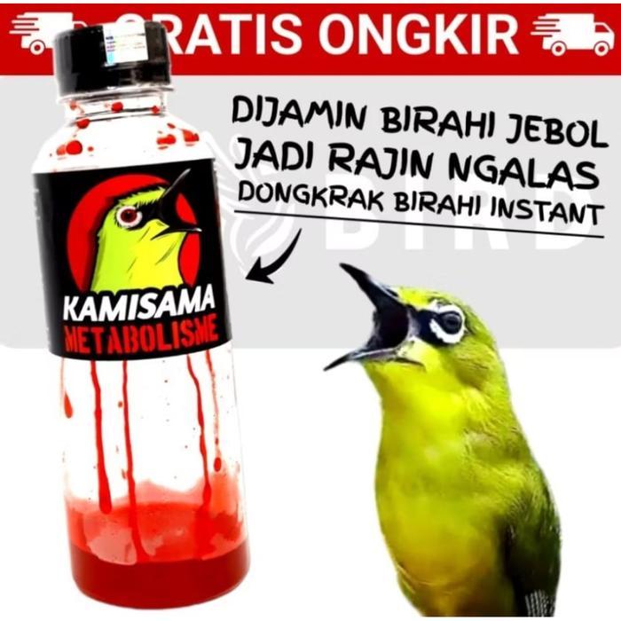 Kamisama Metabolisme Pakan Burung Pleci Sogon Kolibri (Bukan Dextro)