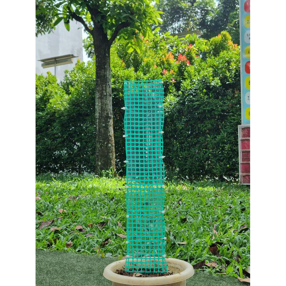 Turus Tanaman Turus Mika Lumut 40 Cm Plastik Media