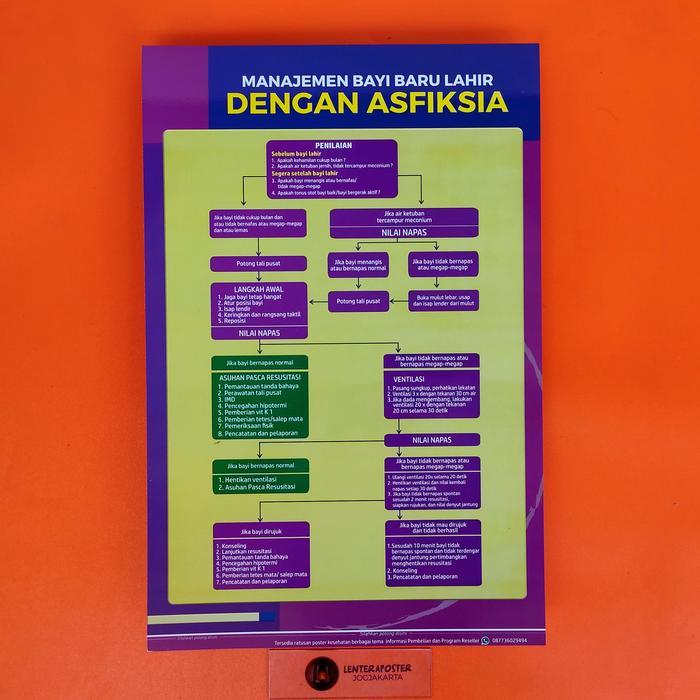 Poster Bidan Termurah, Poster Kebidanan - Manajemen Bayi Baru Lahir dengan Asfiksia, Poster Bidan