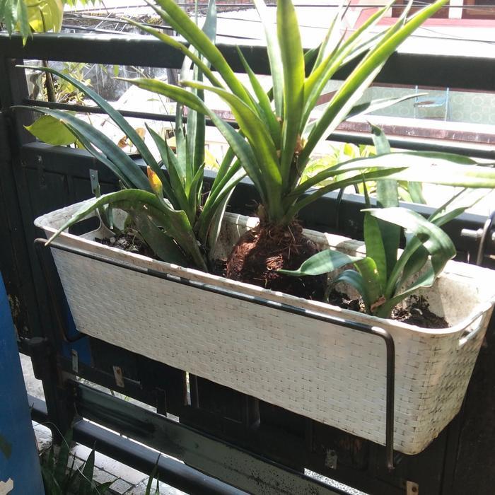 Rak pot bunga pagar balkon persegi panjang
