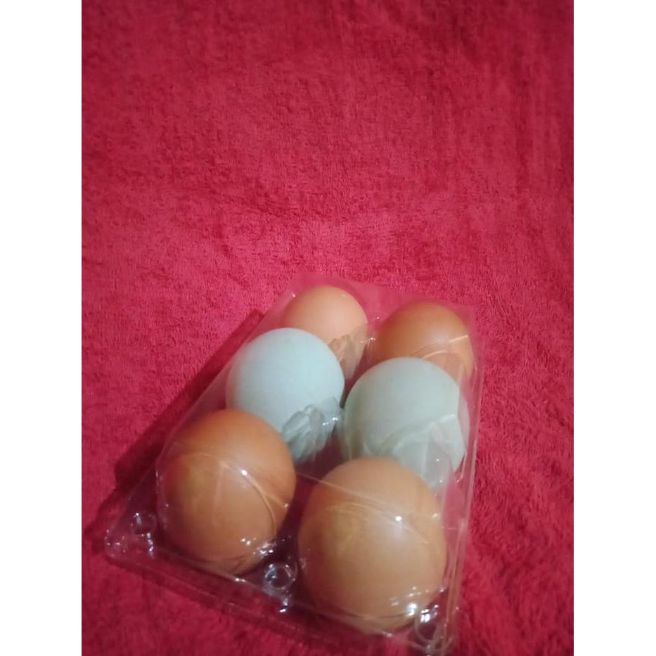 Tray Tempat Telur Tray Egg Ayam/Bebek Isi 6 Premium