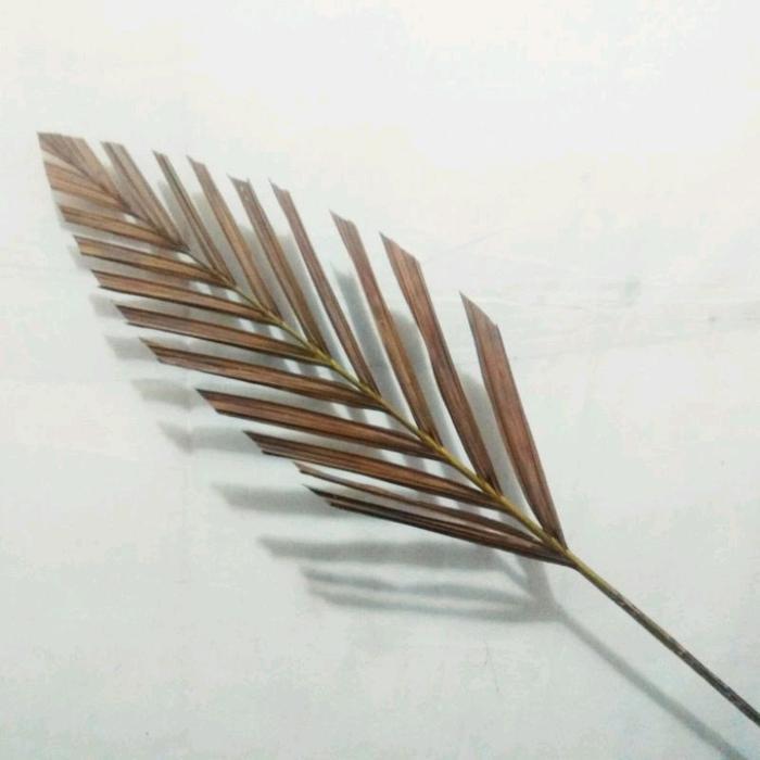 Daun Palm Viji Kering Daun kering dekorasi rustik