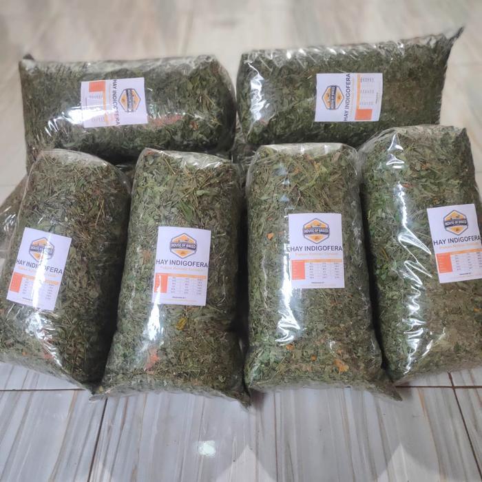 Hay Indigofera / Full daun / pakan ternak / hay terbaik