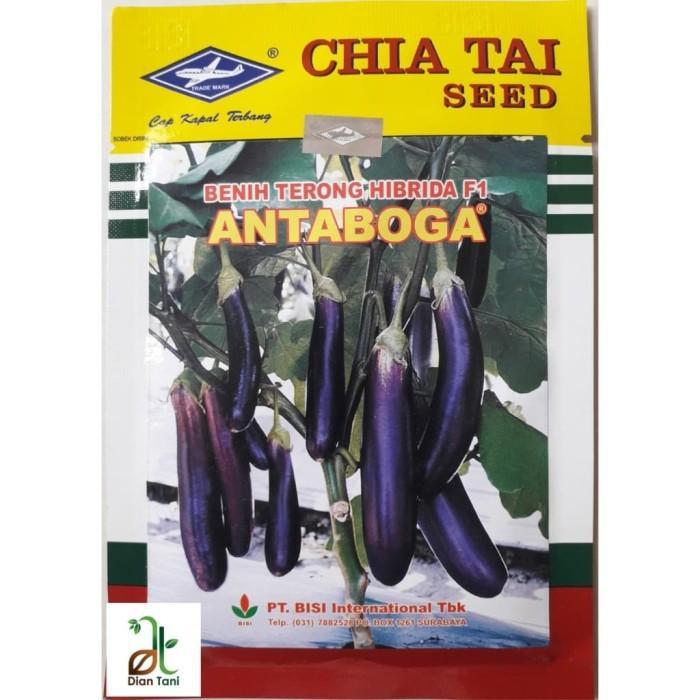Thebest- ANTABOGA BENIH TERONG HIBRIDA F1 Cap Kapal Terbang