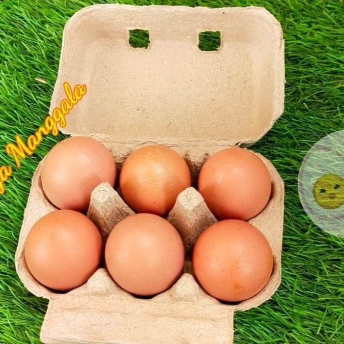 Thebest- PAPER EGG 6 LUBANG / BOX TELUR KARTON 50 PCS