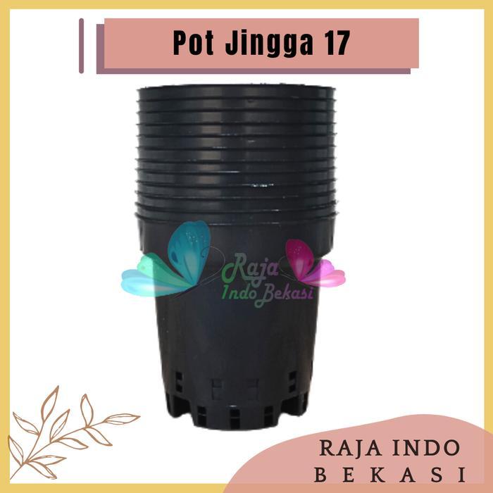 Raja Indo Bekasi Pot Lusinan Pot Gantung Anggrek Jingga 17 Hitam Pot Anggrek Jingga