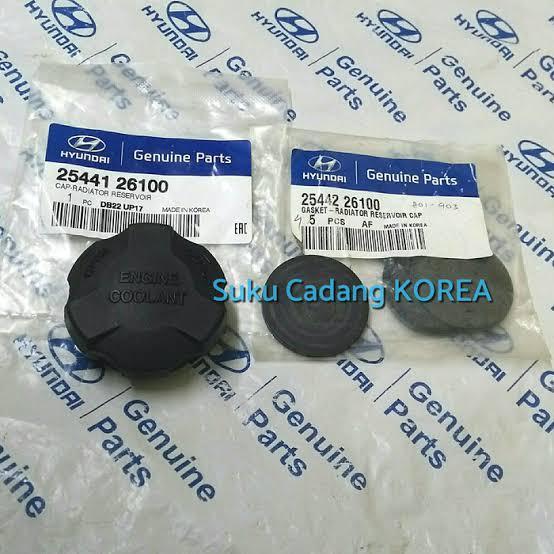 Tutup Tabung Radiator Hyundai H1