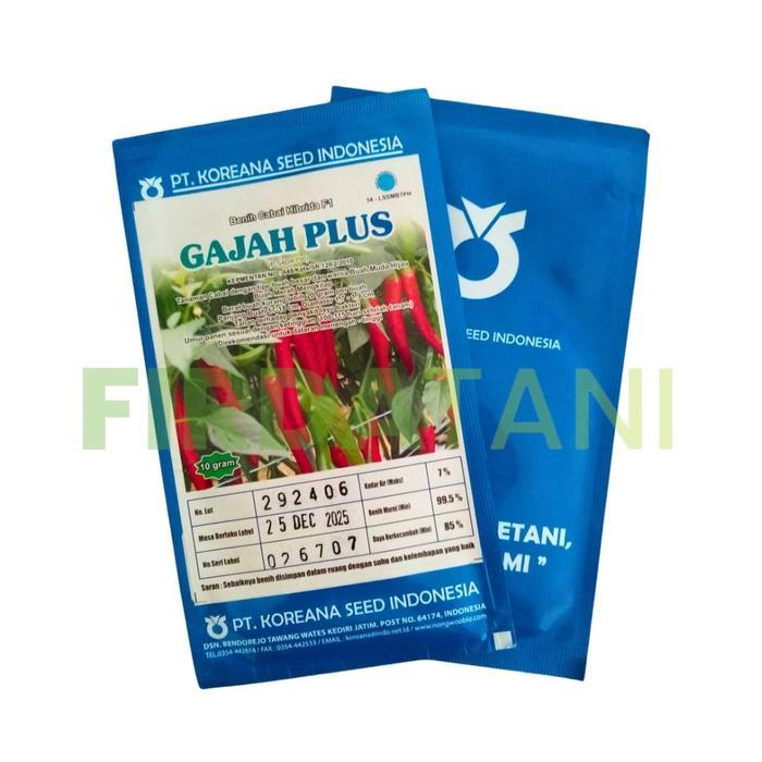 Little_Little_ Benih Cabe Gajah Plus F1 10Gr Buah Besar Tahan Layu, Cocok Dataran Tinggi