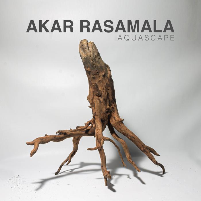 Akar Kayu Rasamala Aquascape Aquarium