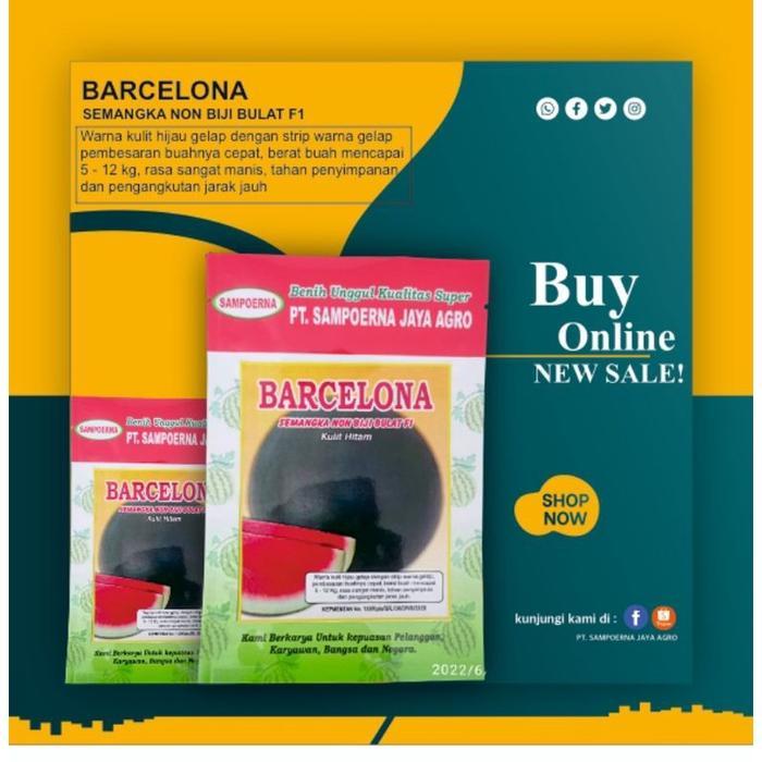 Benih semangka non biji bulat