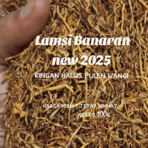 Argotech_ Lamsi Banaran Th2025 High Quality