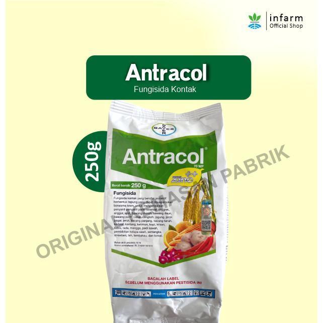 Infarm - Antracol Fungisida 250 Gram Fungisida Sistemik Zinc Obat Anti Busuk Jamur Tanaman Kemasan