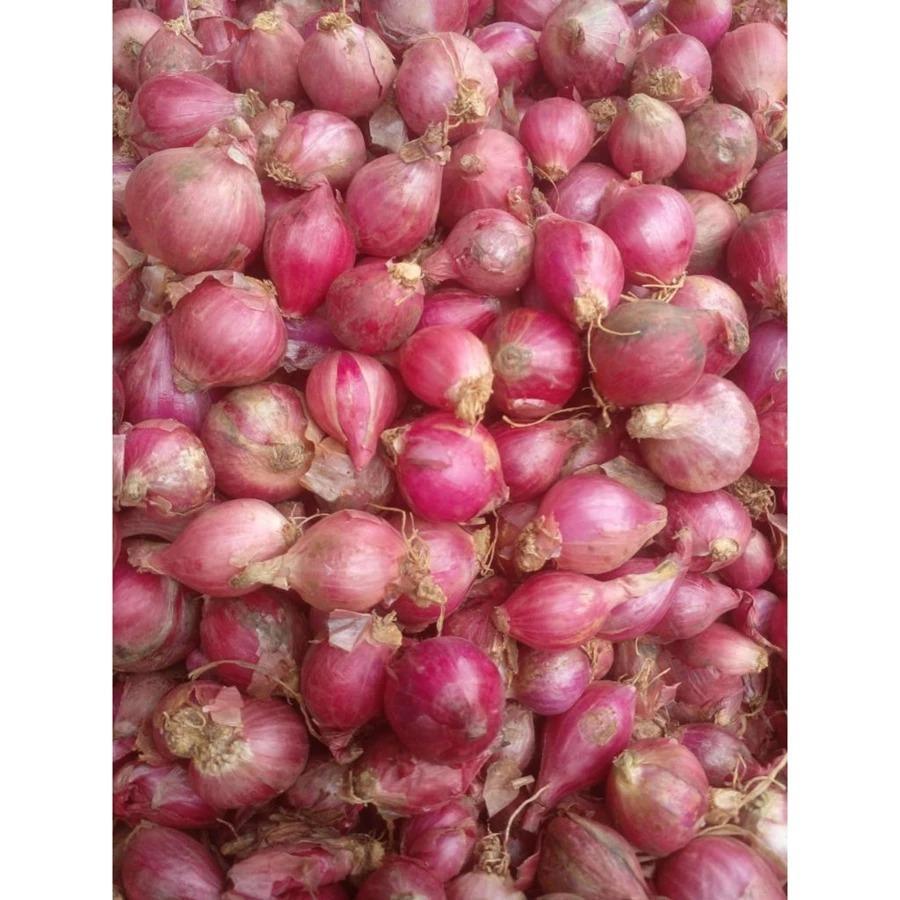 bawang merah kecil 1kilo