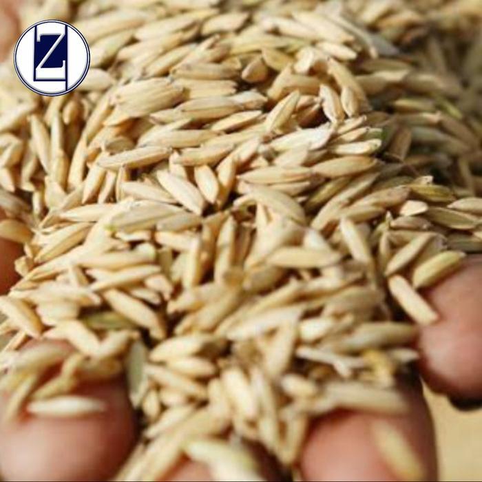 Gabah Merah 1kg Gabah Beras Merah Pakan Ayam Pakan Hewan Peliharaan Maupun Ternak