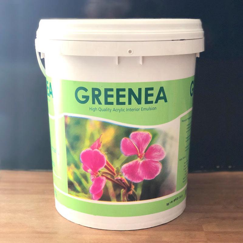 Adaa Greenea Cat Tembok [25 Kg]