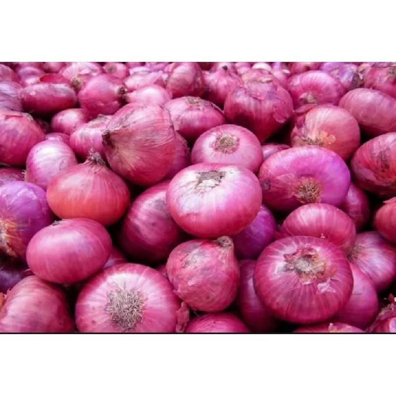 BRAMBANG BAWANG MERAH LOKAL SUPER Free Jaring