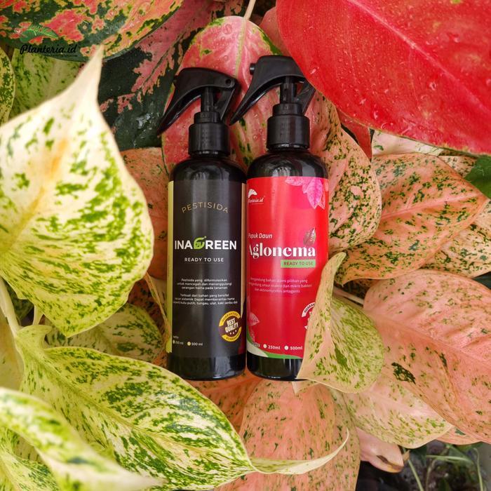 Swaylineshop Bundling Hemat Pupuk Aglonema 250Ml+Pestisida 250Ml Berkualitas Daun Tanaman