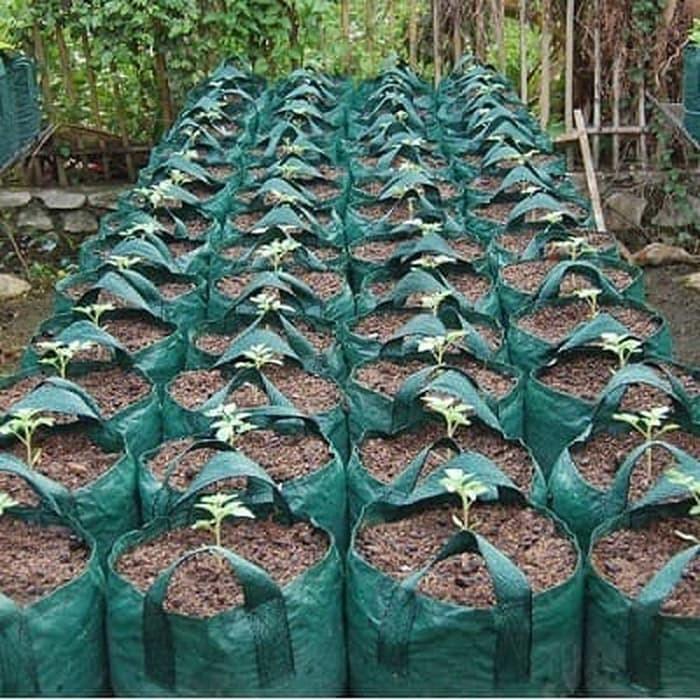 Pesona_Mimin Planter Bag 25 Liter Easy Grow Pot Tanaman Buah Polybag Besar