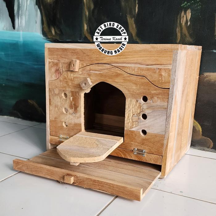 Gupon glodok burung merpati