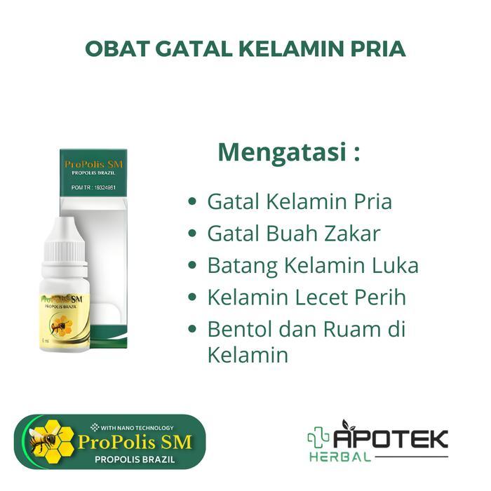 Propolis Sm Untuk Gatal Kelamin Pria Gatal Buah Zakar Batang Kelamin Luka Penis Lecet Perih Iritasi