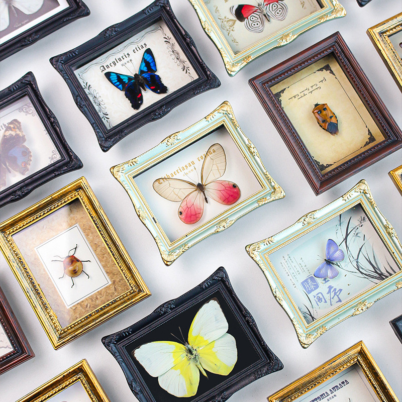 1PC Natural Real Insects Butterfly Specimens Finished Photo Frames Refrigerator Stickers Home