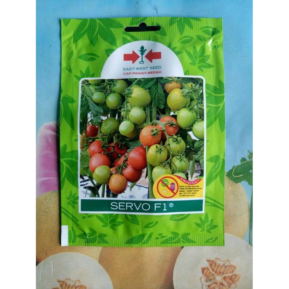 Little_Little_ Tomat Tahan Virus Servo F1 (150Biji)