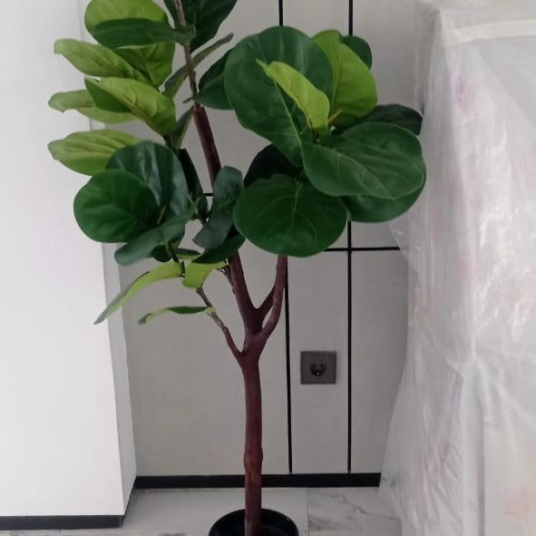 Promo Pohon Ketapang Biola/Ketapang Bung Plastik/Bunga Hias/Bunga Artificial