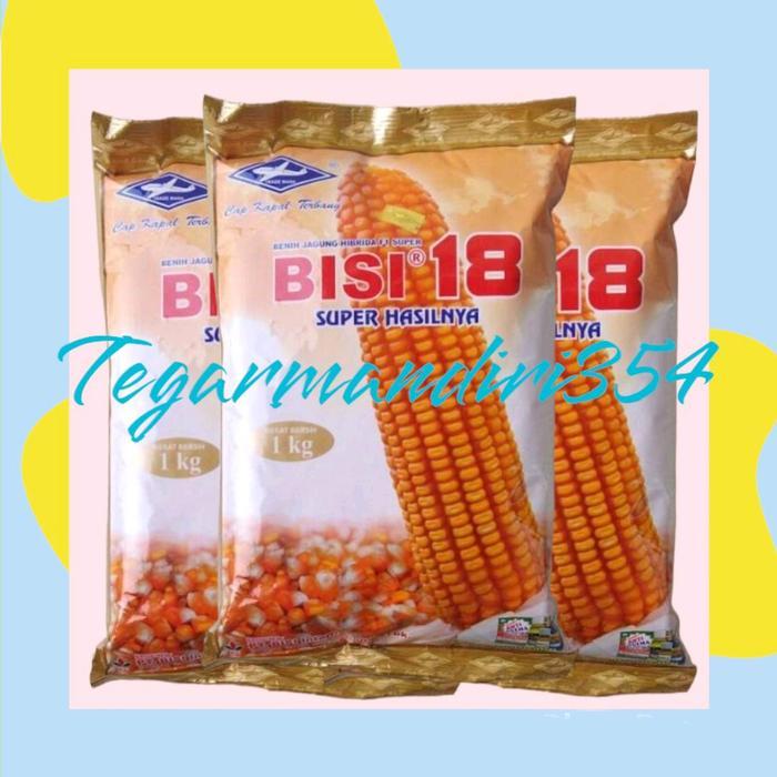 Benih jagung bisi 18 1kg Bibit jagung bisi 18 1kg