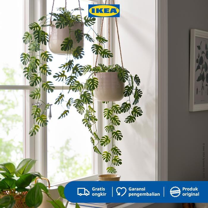 [] IKEA FEJKA Tanaman Hias Palsu Gantung Dalam Pot Monstera 9cm