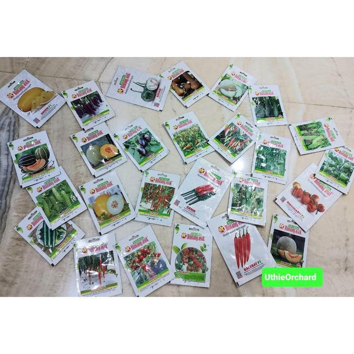 Koralineshop Benih Bintang Asia - Tomat Natavi F1 Kemasan 0.5 Gr