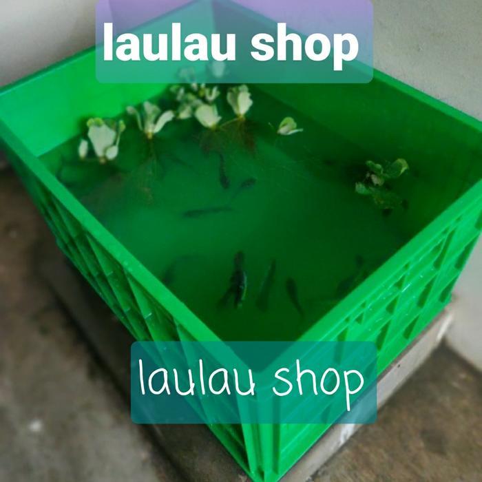 Hanata 3101 Box Container 200 Liter / Keranjang Industri / Kolam Ikan