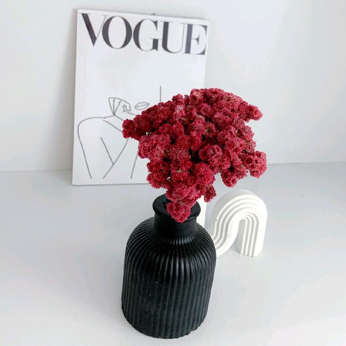 Bunga Edelweis Kering / Bunga Abadi Kering Budidaya / Bunga Edelweis Ikat Kecil gift bunga