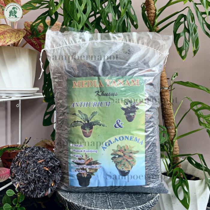 "New" MEDIA TANAM ORGANIK KHUSUS ANTHURIUM AGLAONEMA SIAP PAKAI - AGLAONEMA