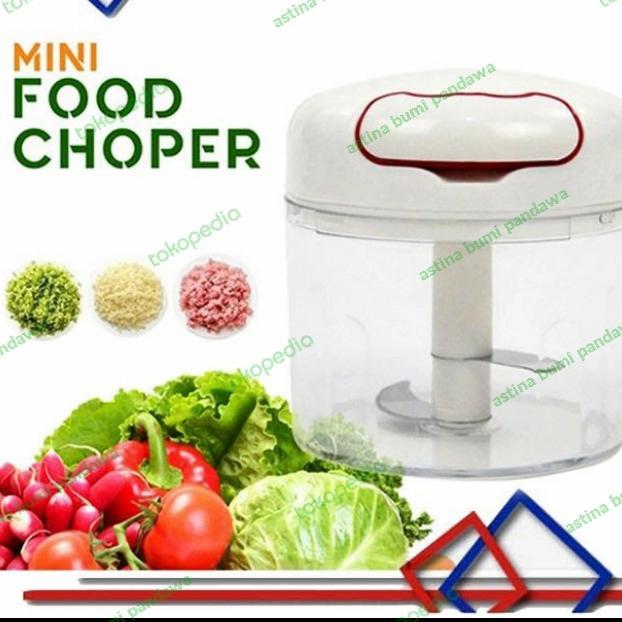 food Chopper mini manual