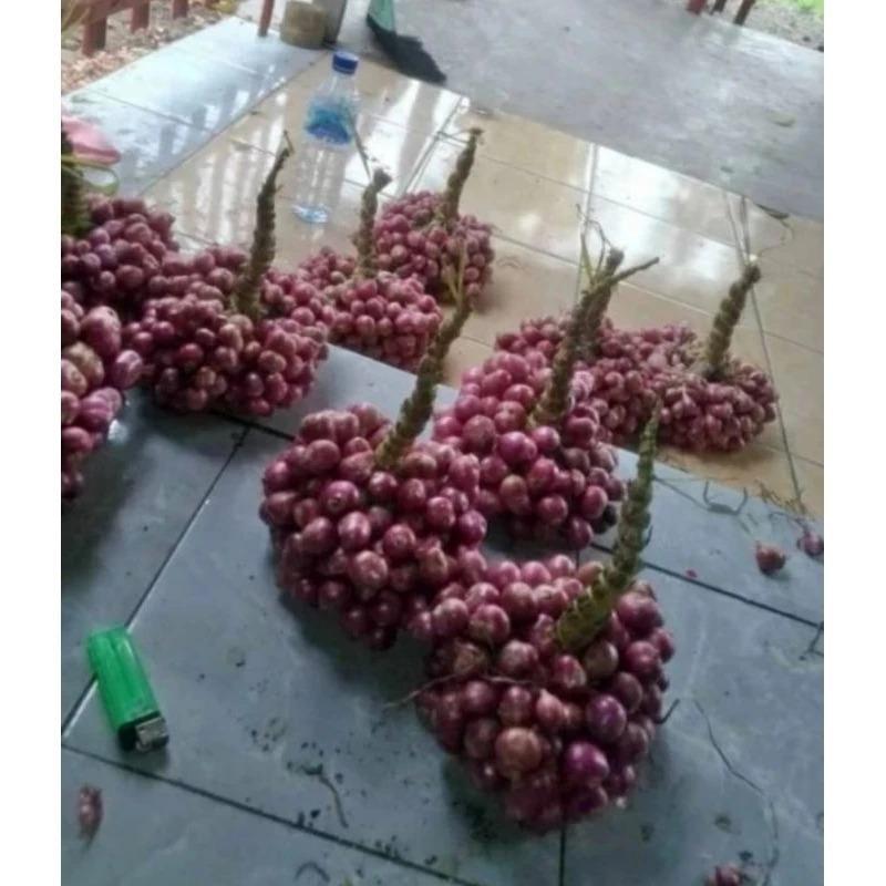 BAWANG MERAH BREBES 1 KG SUPER