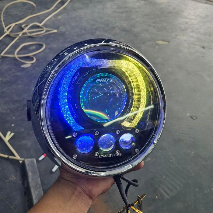BILED King petdam + Laser