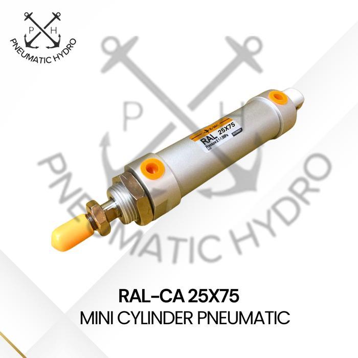 Mini Cylinder Pneumatic Emc Ral-Ca 25X75
