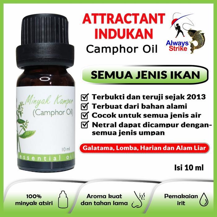 News Always Strike Minyak Kamper Booster Umpan Mancing
